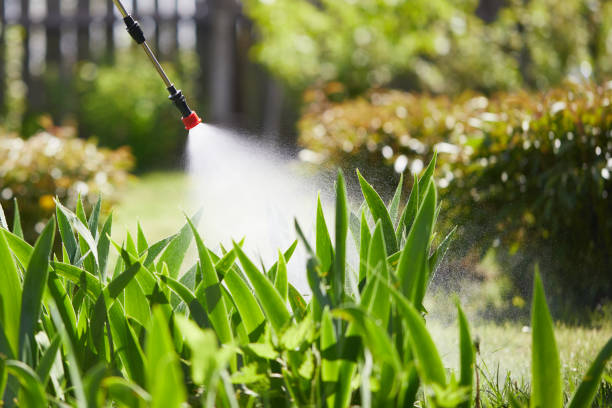 24/7 Emergency Mosquito Control experts in Dunlap, IL